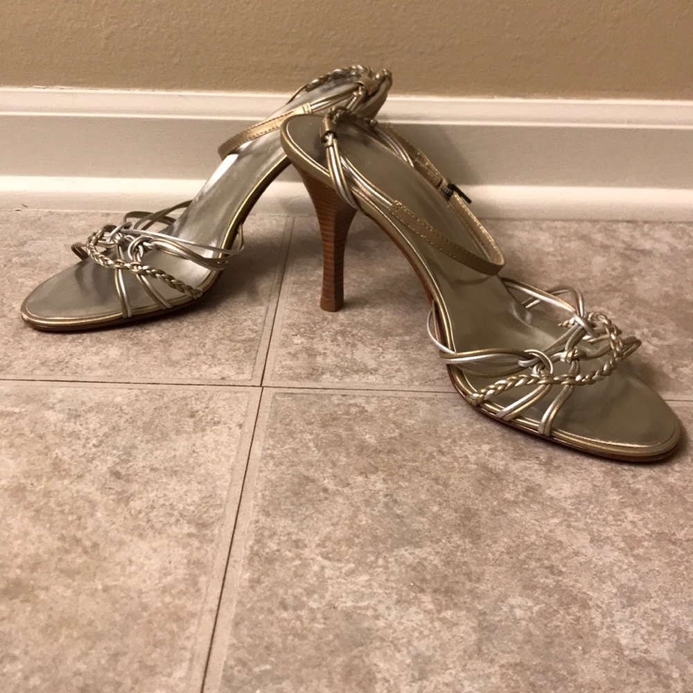 Hilfiger Kashmir